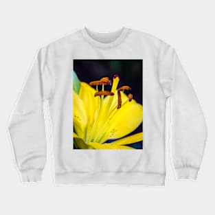 Close-up of Garden Lily 15 Crewneck Sweatshirt